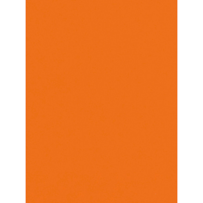 Офисная цветная бумага MONDI IQ Color Intensive Orange A4 160г/м² 250л (OR43/A4/160/IQ)