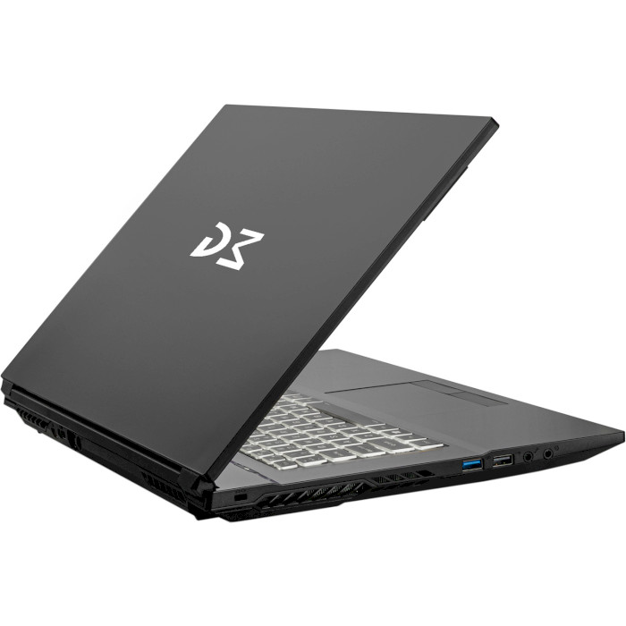 Ноутбук DREAM MACHINES G1650-17 Black (G1650-17UA71)
