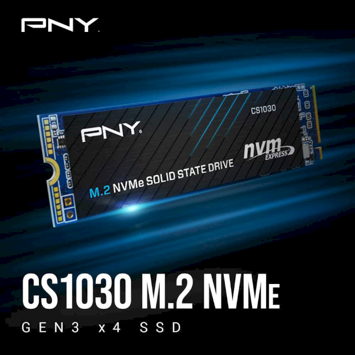 SSD диск PNY CS1030 500GB M.2 NVMe (M280CS1030-500-RB)