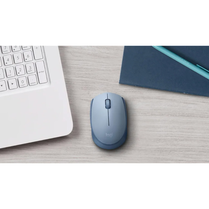 Мышь LOGITECH M171 Blue Gray (910-006866)