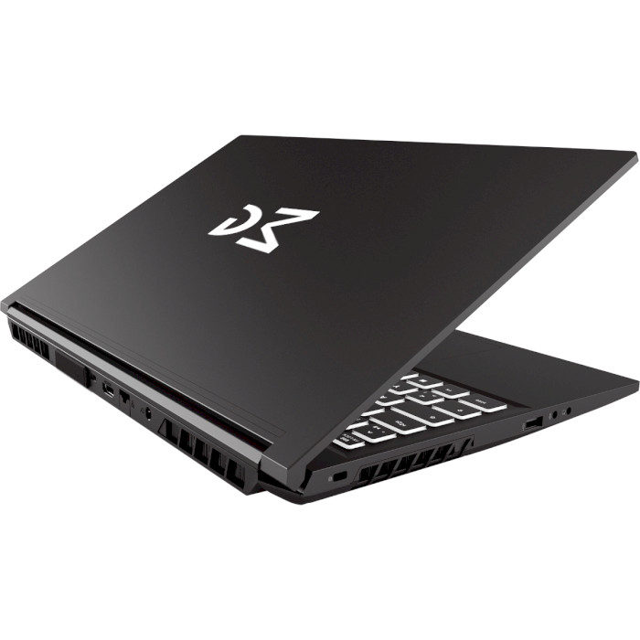 Ноутбук DREAM MACHINES RT3060-15 Black (RT3060-15UA52)