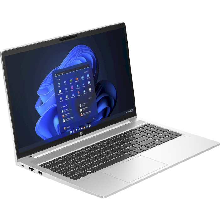 Ноутбук HP ProBook 455 G10 Silver (719F6AV_V2)