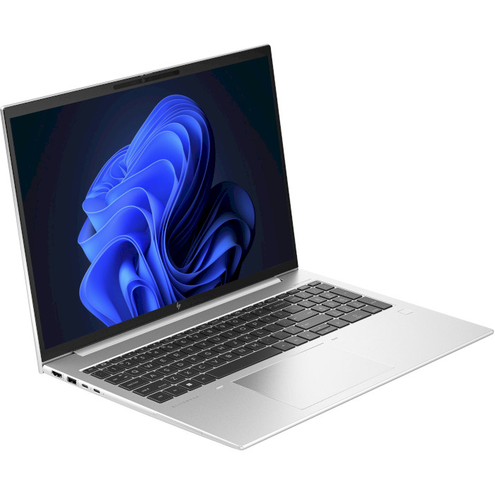 Ноутбук HP EliteBook 865 G10 Silver (818P0EA)