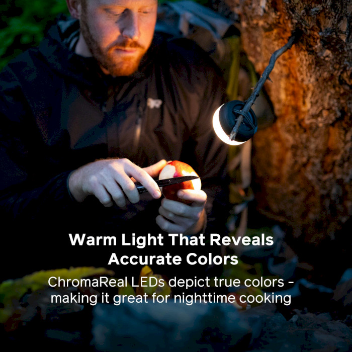 Ліхтар кемпінговий BIOLITE AlpenGlow Mini Charcoal (LNC0101)