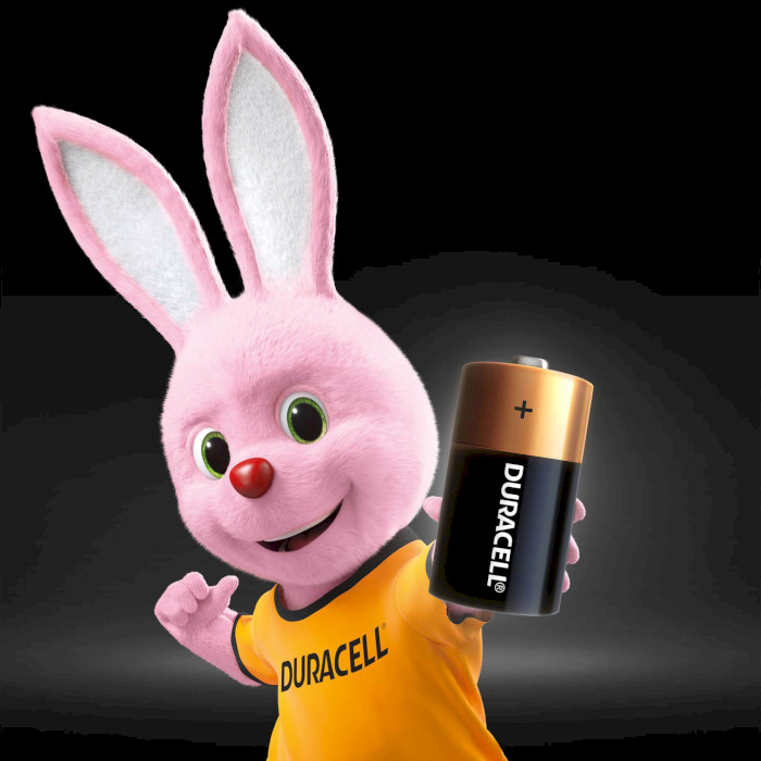 Батарейка DURACELL Basic C 2шт/уп (81427263)