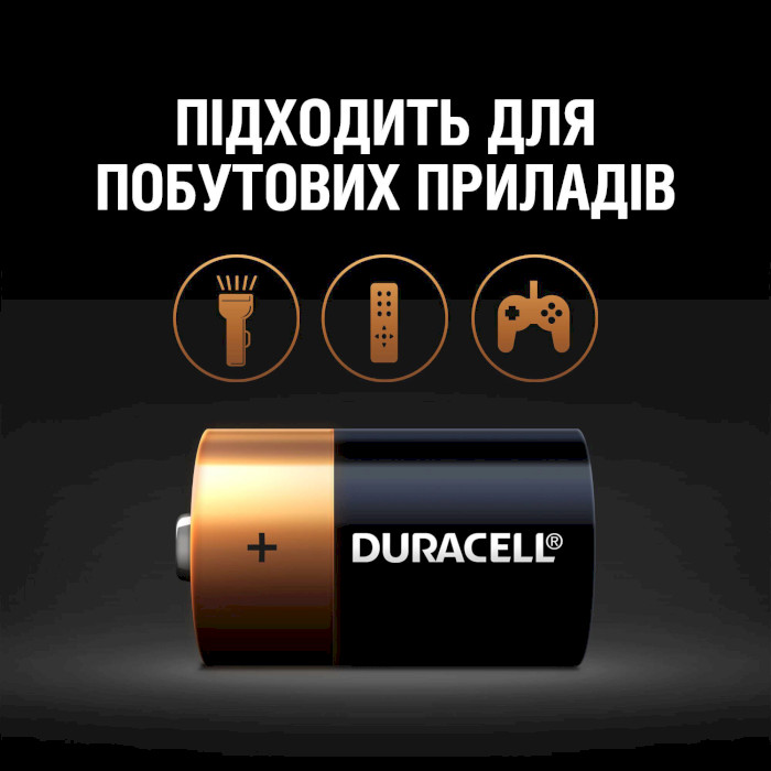 Батарейка DURACELL Basic D 2шт/уп (5005987)