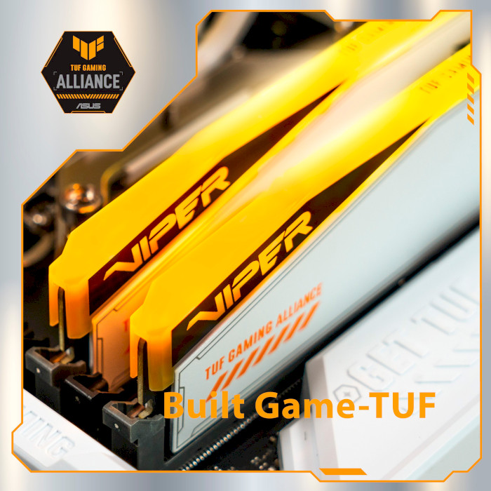 Модуль пам'яті PATRIOT Viper Elite 5 RGB TUF Gaming Alliance DDR5 6000MHz 32GB Kit 2x16GB (PVER532G60C36KT)