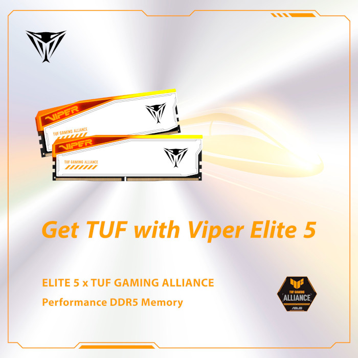 Модуль памяти PATRIOT Viper Elite 5 RGB TUF Gaming Alliance DDR5 6000MHz 48GB Kit 2x24GB (PVER548G60C36KT)