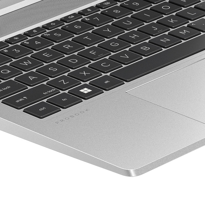 Ноутбук HP ProBook 455 G10 Silver (719F5AV_V4)