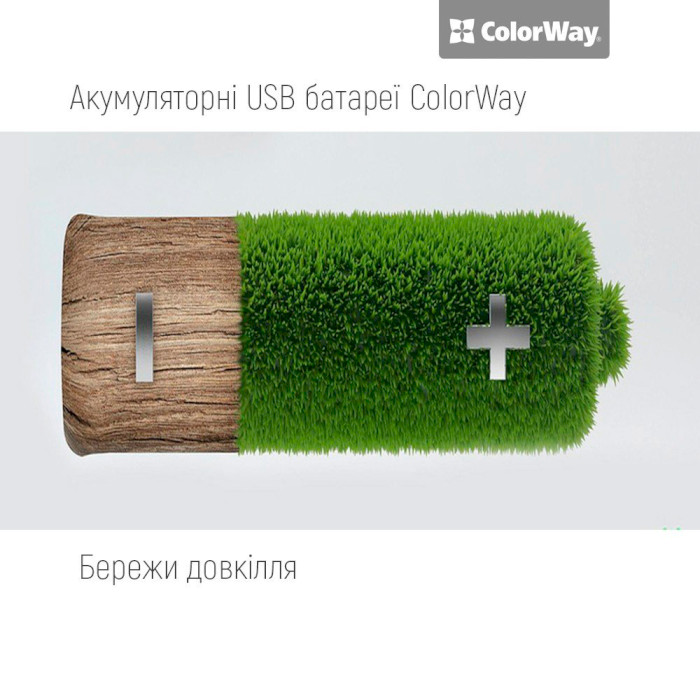 Акумулятор COLORWAY USB AAA 590mAh, USB-C заряджання 2шт/уп (CW-UBAAA-09)