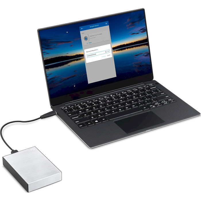 Портативный жёсткий диск SEAGATE One Touch with Password 5TB USB3.0 Silver (STKZ5000401)