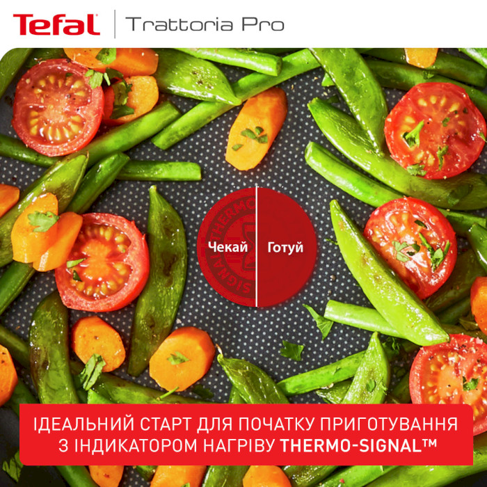 Сковорода TEFAL Trattoria Pro 26см (G6120544)