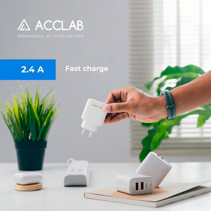 Зарядное устройство ACCLAB AL-TC224 2xUSB-A, 2.4A Wall Charger White