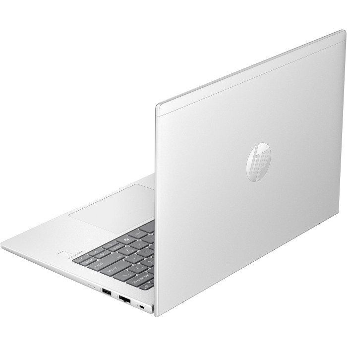 Ноутбук HP ProBook 445 G11 Pike Silver (9Y7K5ET)