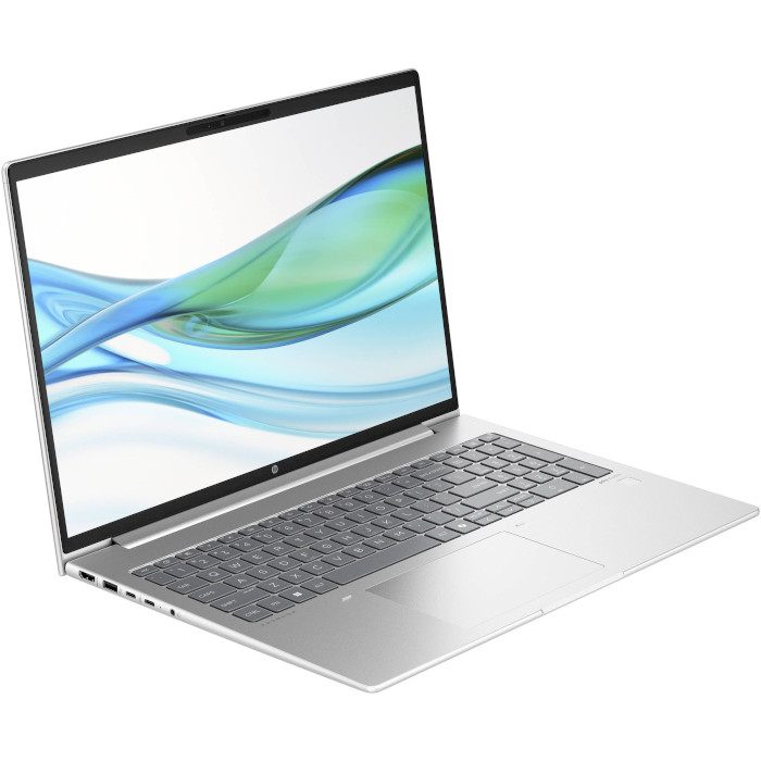 Ноутбук HP ProBook 465 G11 Pike Silver (9Y7C7ET)