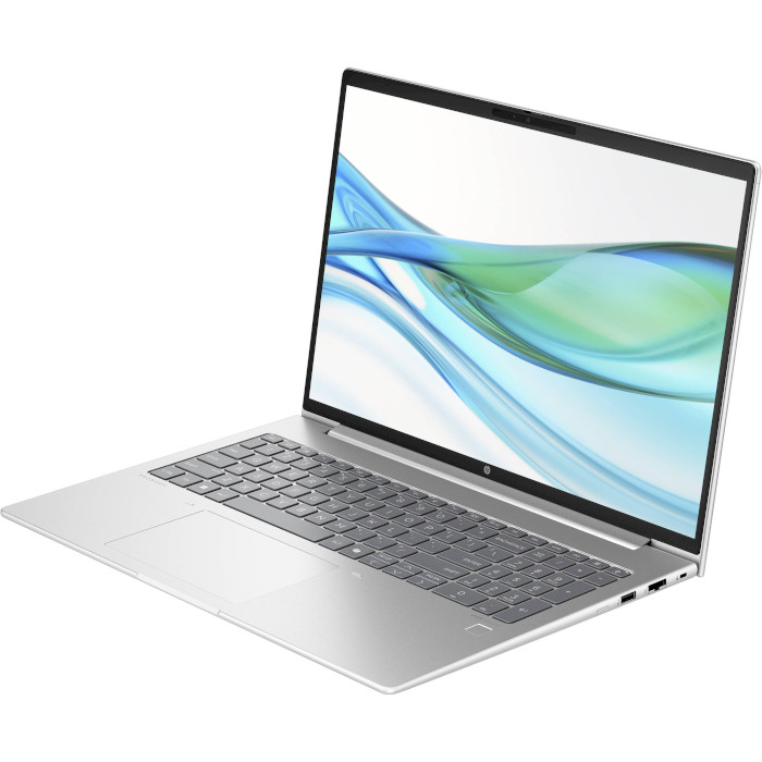 Ноутбук HP ProBook 465 G11 Pike Silver (9Y7C7ET)