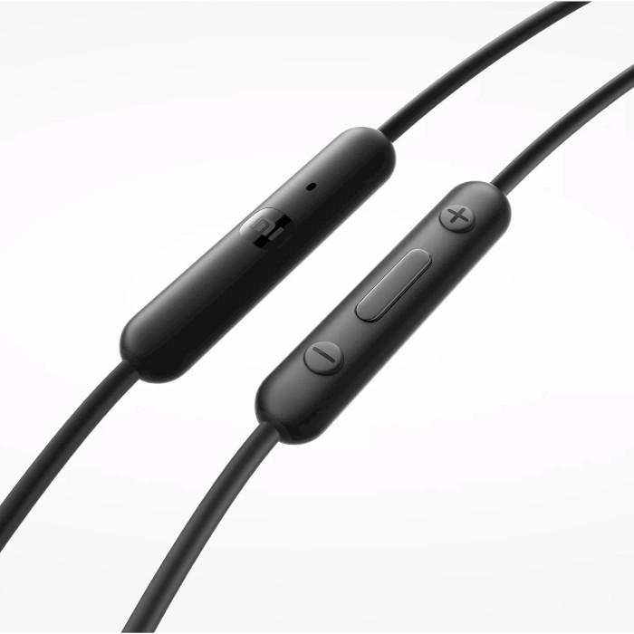 Наушники XIAOMI Type-C Earphones Black (BHR8930GL)