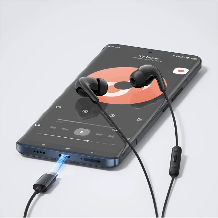 Наушники XIAOMI Type-C Earphones Black (BHR8930GL)