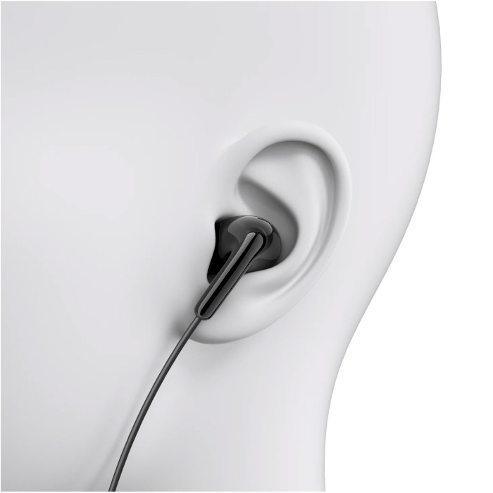 Наушники XIAOMI Type-C Earphones Black (BHR8930GL)