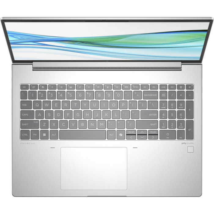 Ноутбук HP ProBook 465 G11 Pike Silver (901H4AV_V1)