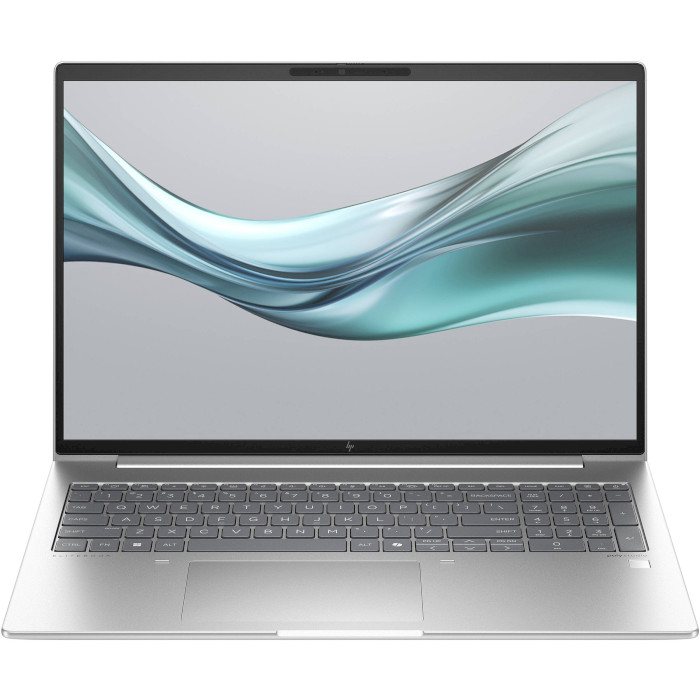 Ноутбук HP EliteBook 665 G11 Silver (8Z715AV_V4)