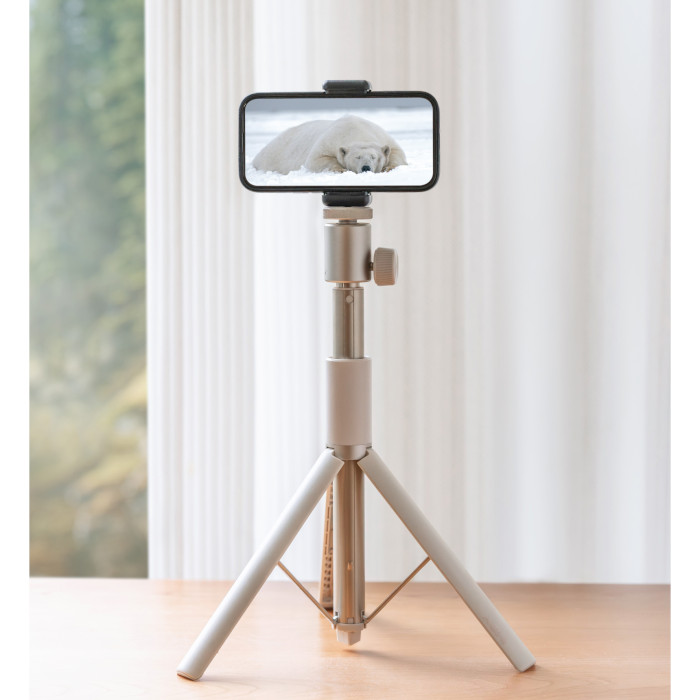 Штатив для проєктора XGIMI Light Gold Portable Stand (T011R)