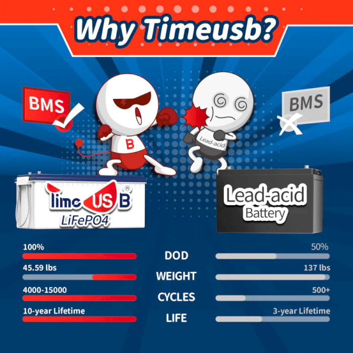 Аккумуляторная батарея TIMEUSB LiFePO4 24V 100Ah (25.6В, 100Ач, 2S4P/BMS 100A)