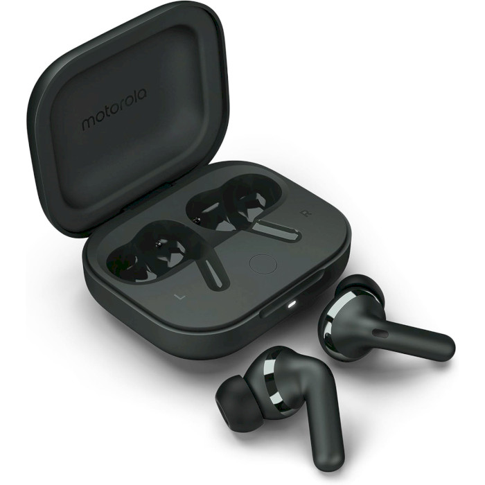 Навушники MOTOROLA Moto Buds+ Forest Gray (PG38C05743)