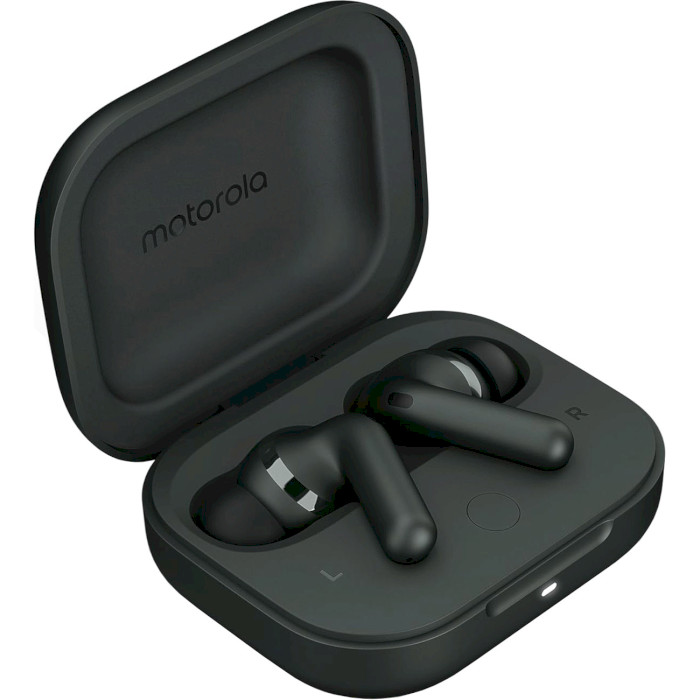 Навушники MOTOROLA Moto Buds+ Forest Gray (PG38C05743)