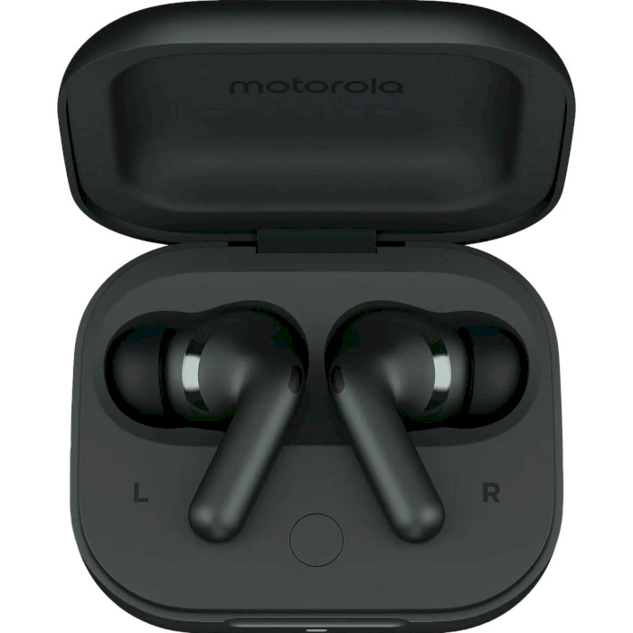 Навушники MOTOROLA Moto Buds+ Forest Gray (PG38C05743)