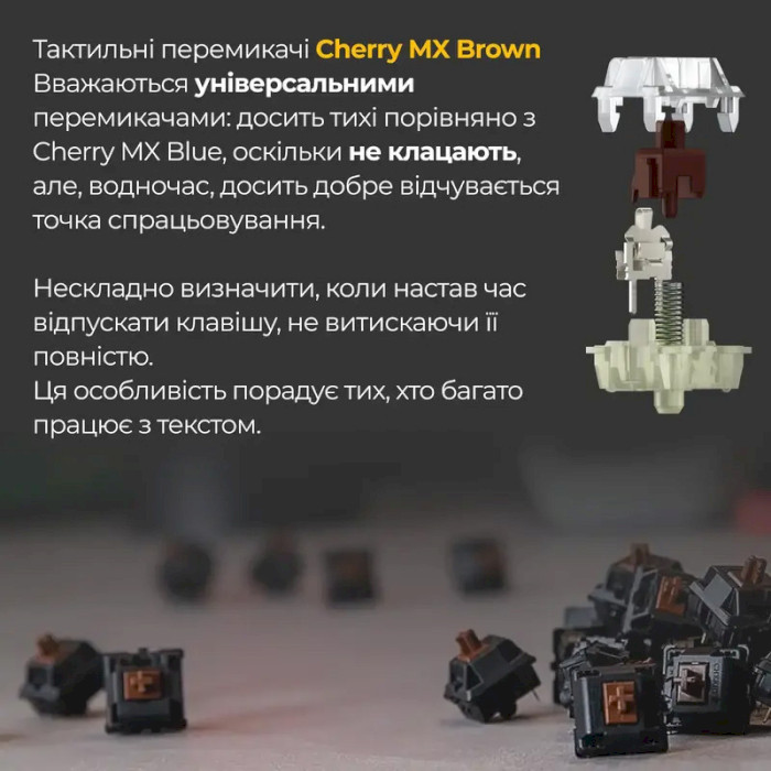 Клавиатура DUCKY One 3 Mini Cherry MX Brown Switch RGB UA Black (DKON2161ST-BUAPXCLAWSC1)