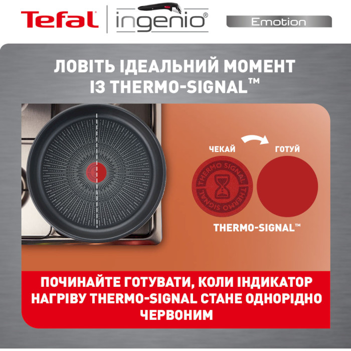 Набір ковшів TEFAL Ingenio Emotion 4пр (L8964S55)