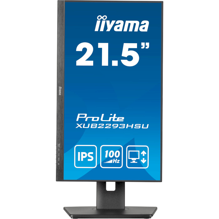 Монитор IIYAMA ProLite XUB2293HSU-B7