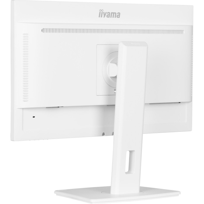 Монитор IIYAMA ProLite XUB2497HSN-W2