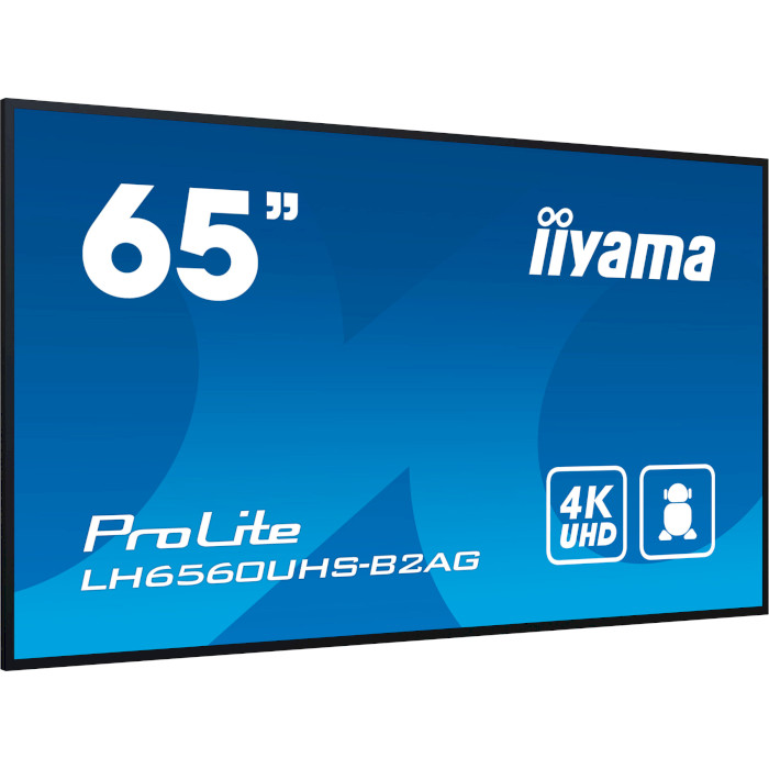 Информационный дисплей 64.5" IIYAMA ProLite LH6560UHS-B2AG