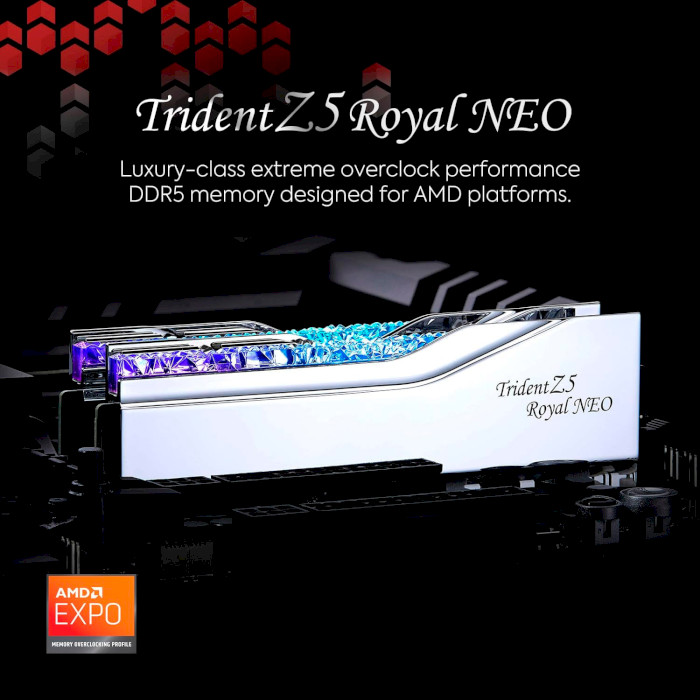 Модуль пам'яті G.SKILL Trident Z5 Royal Neo Silver DDR5 6400MHz 32GB Kit 2x16GB (F5-6400J3039G16GX2-TR5NS)