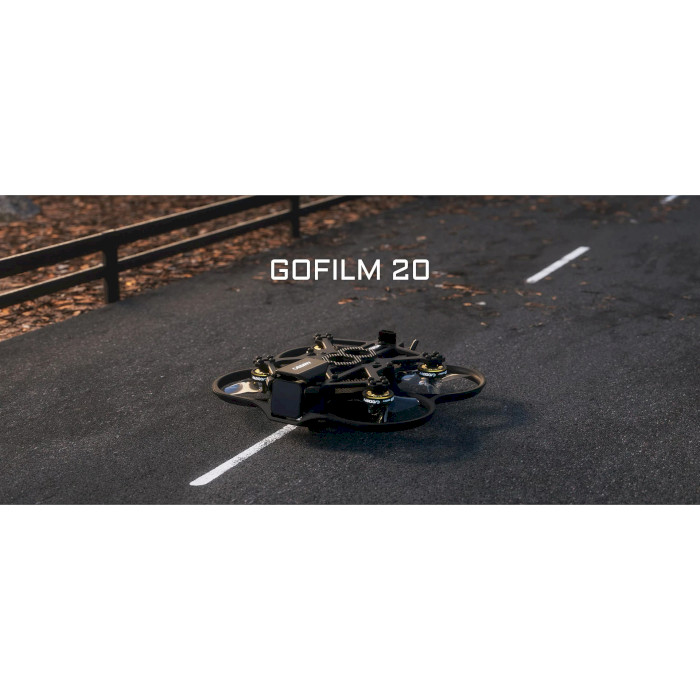 Квадрокоптер CADDXFPV Gofilm 20