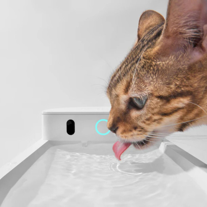 Поїлка для собак і котів CATLINK AI Water Fountain - Wired