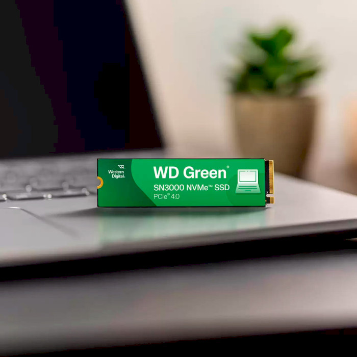 SSD диск WD Green SN3000 1TB M.2 NVMe (WDS100T4G0E)