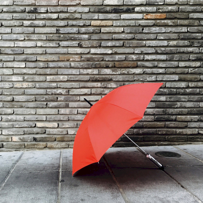 Умный зонт OPUS ONE Jonas Smart Umbrella Rose Red (30 60 0006)