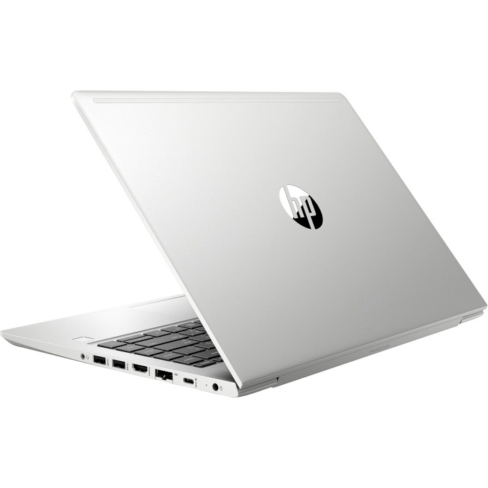 Ноутбук HP ProBook 445 G6 Silver (5MV09AV_V1)