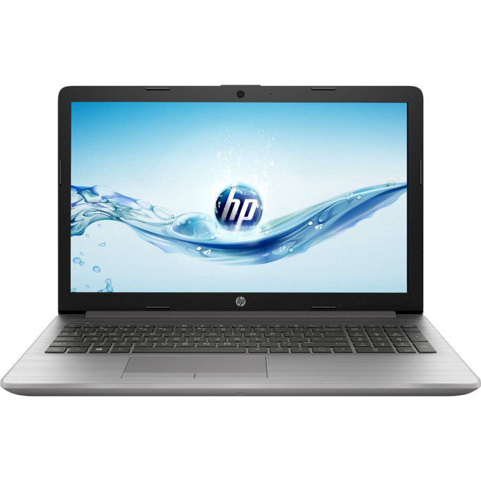 Ноутбук HP 250 G7 Asteroid Silver (6MQ40EA)