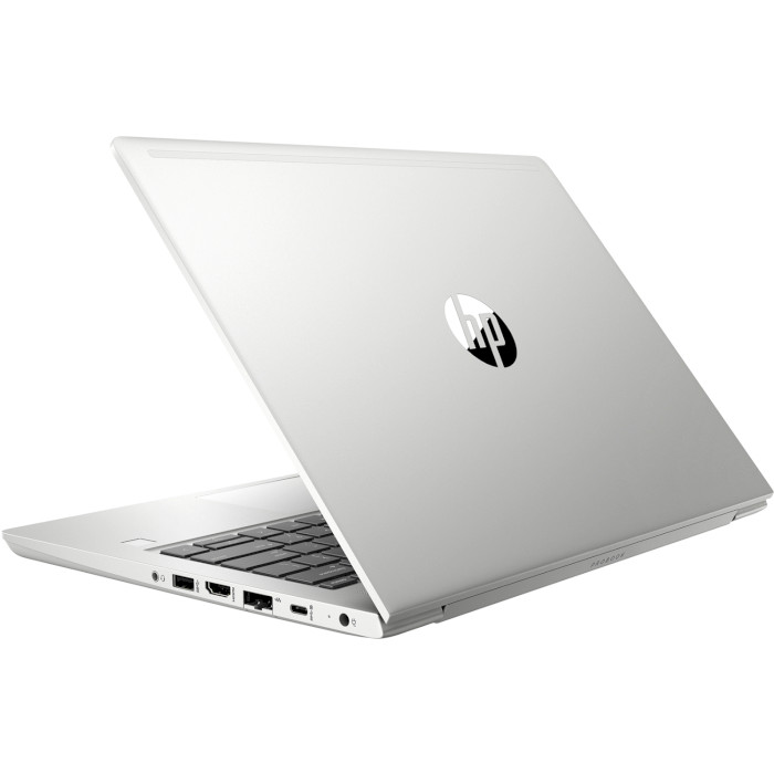 Ноутбук HP ProBook 430 G6 Silver (4SP82AV_1)