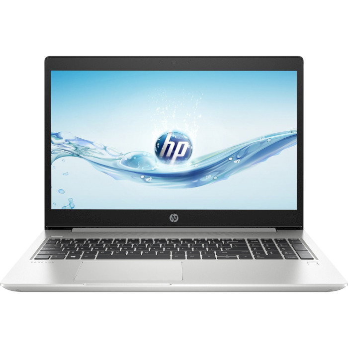 Ноутбук HP ProBook 450 G6 Silver (4SZ47AV_V24)