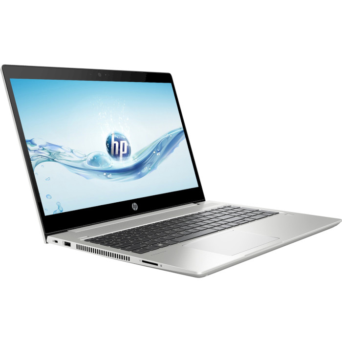 Ноутбук HP ProBook 450 G6 Silver (6MQ73EA)