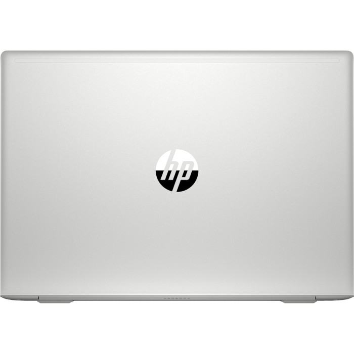 Ноутбук HP ProBook 450 G6 Silver (6MQ73EA)