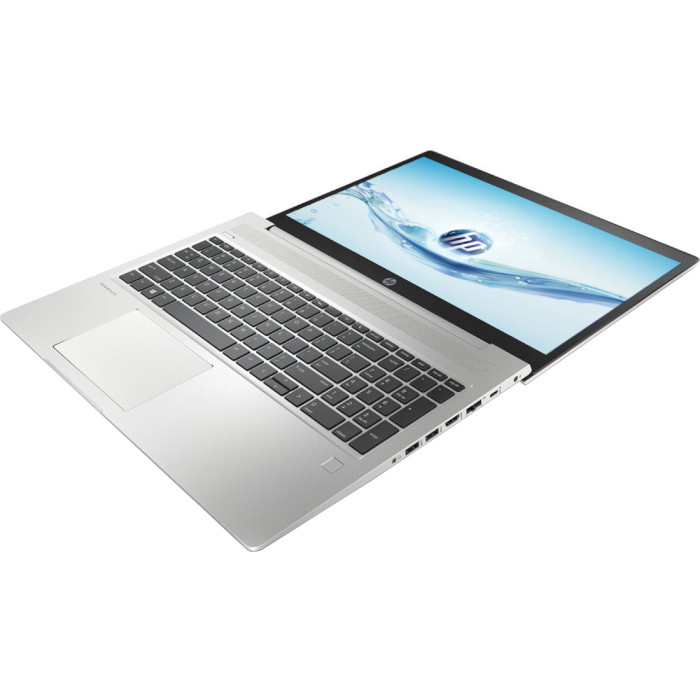 Ноутбук HP ProBook 450 G6 Silver (5DZ78AV_1)
