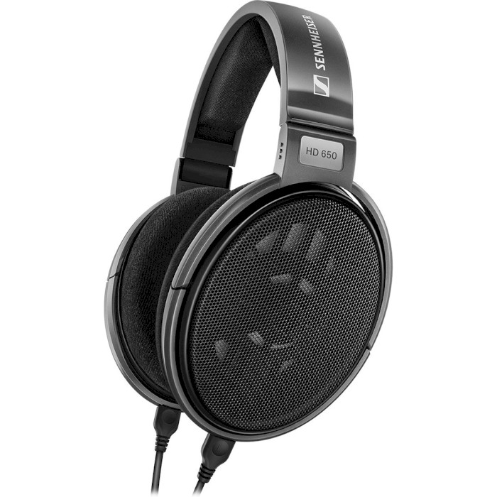 Наушники SENNHEISER HD 650 (508825)