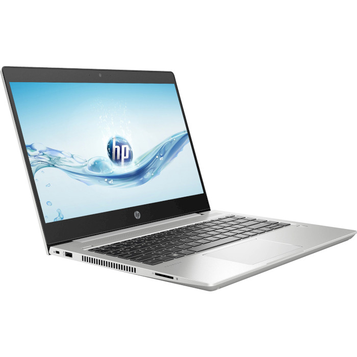 Ноутбук HP ProBook 440 G6 Silver (4RZ53AV_V20)