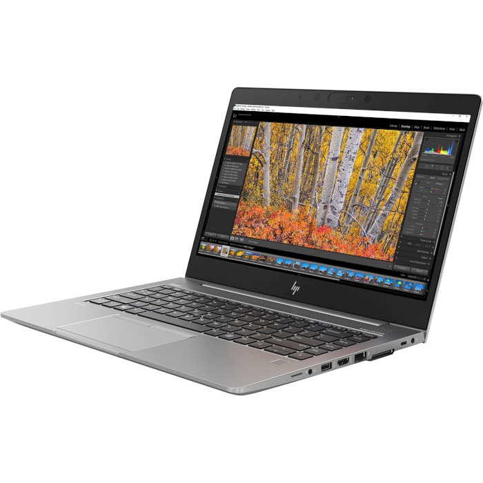 Ноутбук HP ZBook 14u G5 Gray (2ZC01EA)